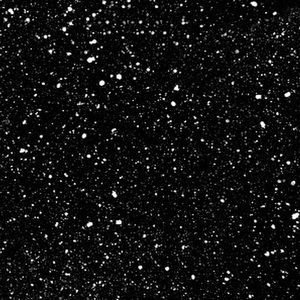 Meet your Posher, Mariah